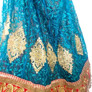 Beautiful Multi Coloured Lehenga