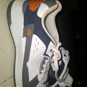 DGB Shoe