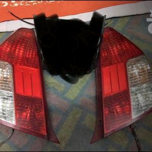 Hyundai i10 Tail Light