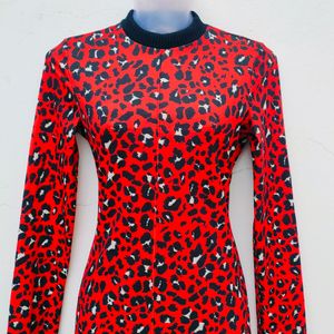 Zara Basic Animal Print Dresss