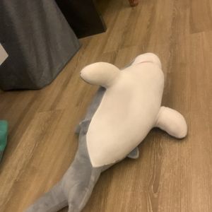 Shark Soft Toy