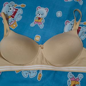 Nude Bra (Combo)