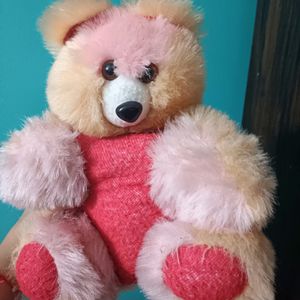 Cute Red Teddy Bear