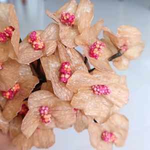 Ready Crepe Wax Flowers