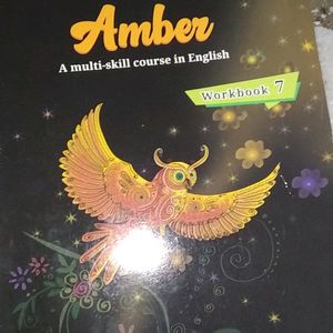 Amber WORK BOOK CLASS 7TH