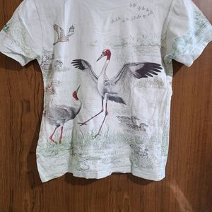 Swan Tshirt