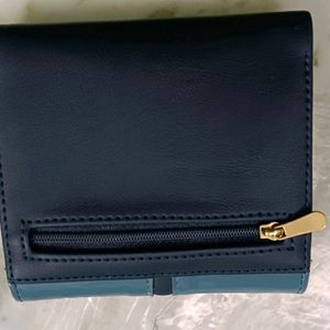 Baggit Wallet