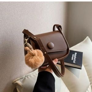 Brown Trendy Sling Bag