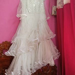 Light Colour Beautiful Full Length Net Barby Gown