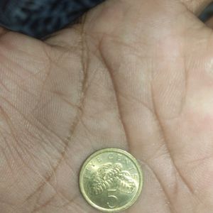 Small Singapore Coin