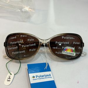 Brown Stylist Polarized Sunglass