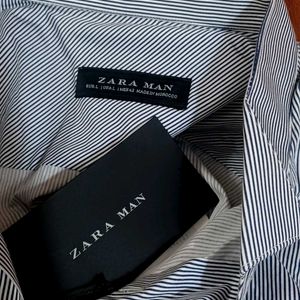 Authentic Zara Wing Collar