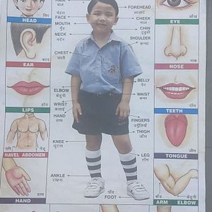 Kids Learning 8 Charts