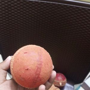 Sg Cricket Ball