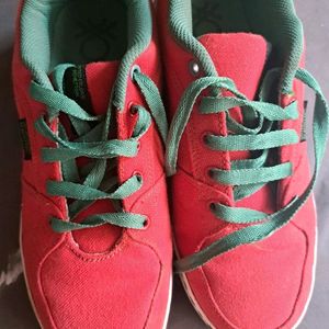 Branded United Colours Of Benetton Shoes