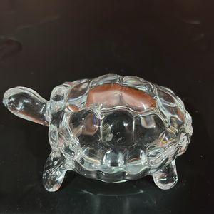 Small Turtle Show Piece