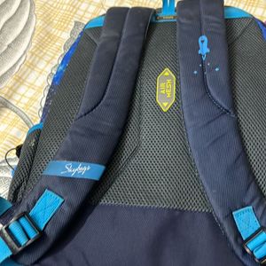 Skybags Backpack