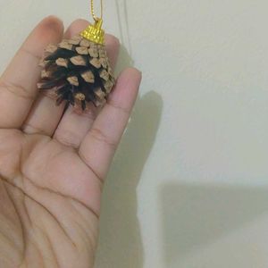 Natural Pinecones Pistachio Pine Cones Ornaments