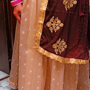 Party Wear Lahagna For Woman