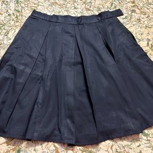 Women Navy Blue Pleaded Skirt