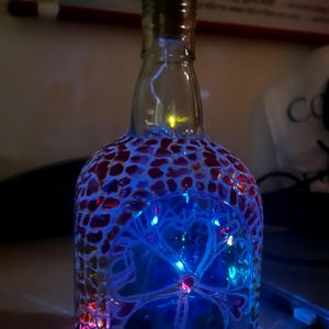 Beautiful Bottle Light