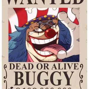 Pack Of 20 Wanted One Piece Anime Poster