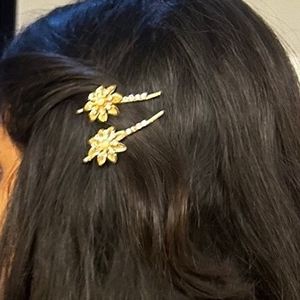 !!TIARA WITH HAIER CLIPS!! Combo INCLUDING PINS