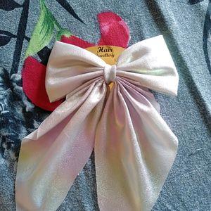 Hair Clips For Women ( Combo)