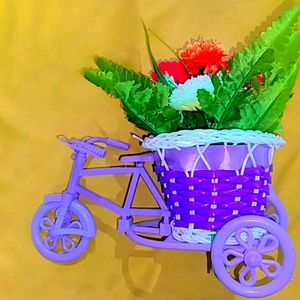 Bicycle & Flowers 🚲🌷