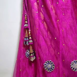 Sharara Top Dupatta