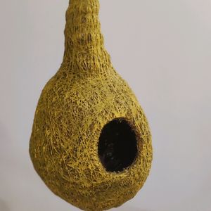 Artificial Bird Nest