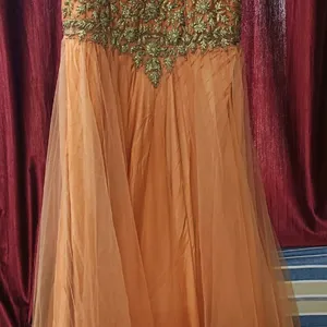 Heavy Golden Thread Work Silk Netted Gown