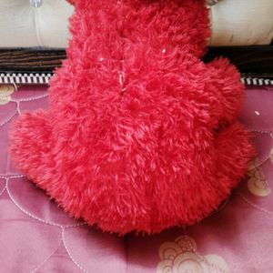 Red Teddy