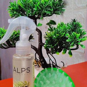 Combo Of Rosemary Waterspray & Head Massager 💚