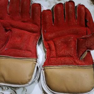 Keeping Gloves Cricket New