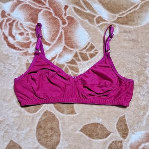 Rose Colour Bra💗