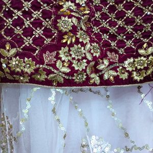 Brand New Lehenga Choli