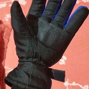 Gloves with Inner