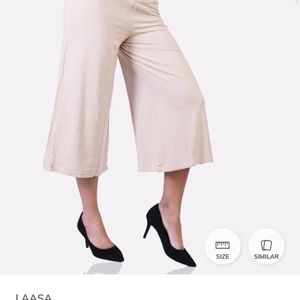 Plazo Pant