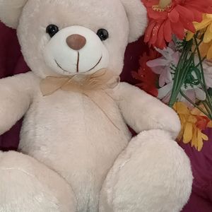 Soft Toys Teady Bear For Your Loved Once