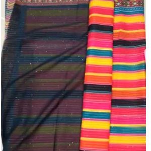 Rainbow Saree