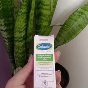 Cetaphil Hydrating Lotion