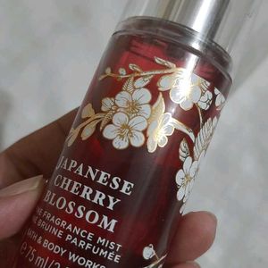 Bath & Body Works Japanese Cherry Blossom