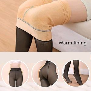 Winter Warm Thermal Fleece Lined Women Leggings