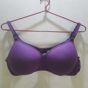 New Arrival: Premium Padded Bras in Size 36