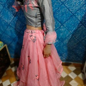 Net+Banarasi Lehnga Choli With Dupatta