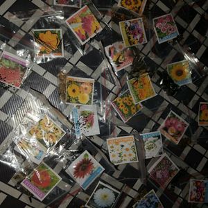 40Varieties Of Flower Seeds