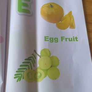 A to Z Fruit Pictionary Book