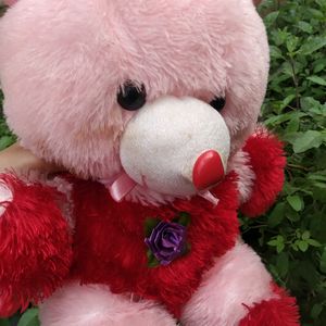 Toy Teddy