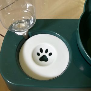 Cat Food & Water Dish